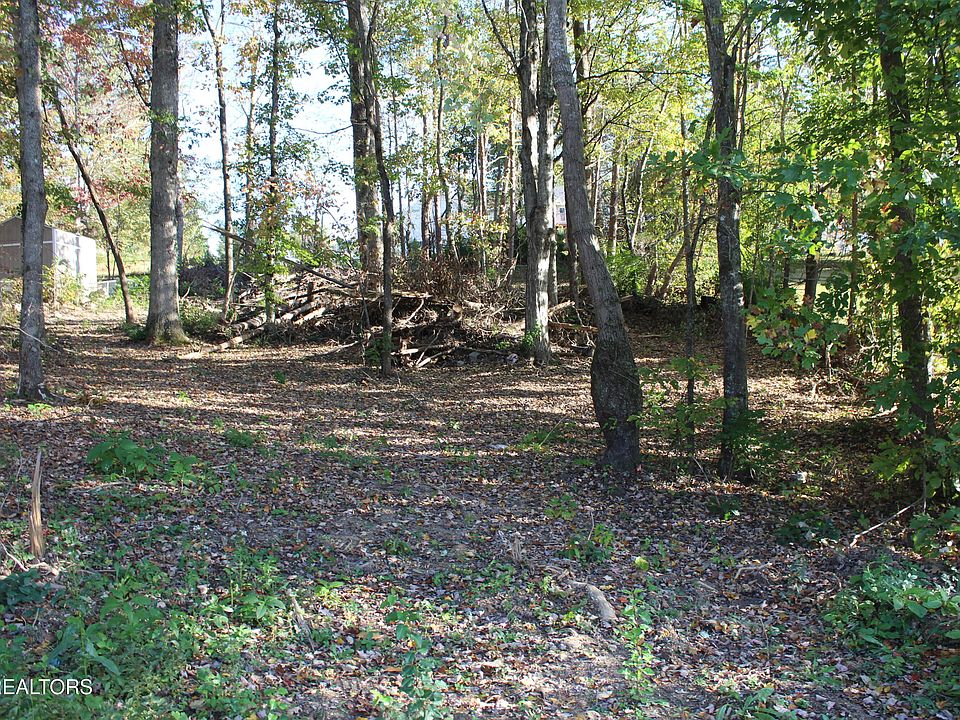 2nd image of Abby Ln