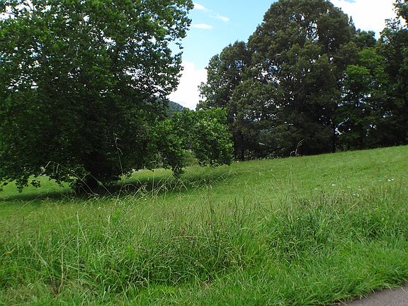 3rd image of 3 Porter Creek Dr