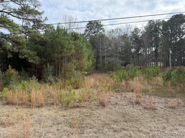 1511 Highland Dr, Elba, AL 36323