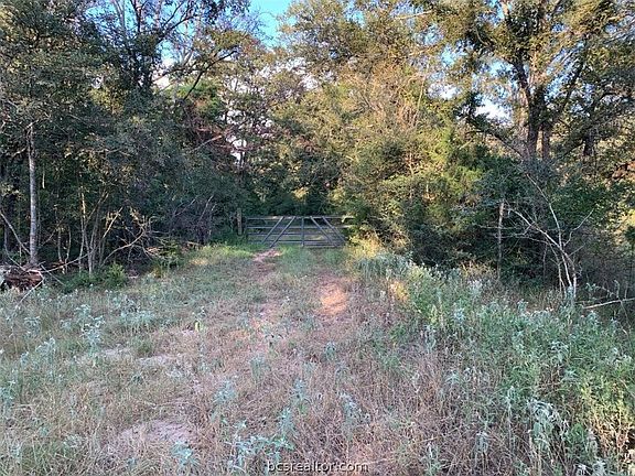 5th image of 5632 County Road 317