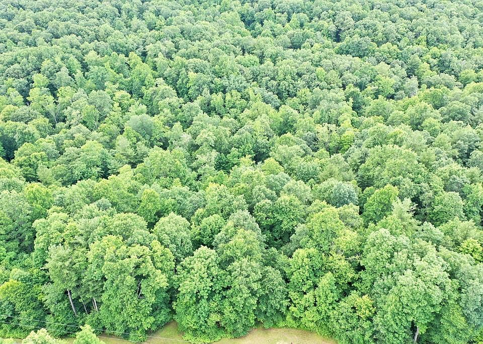 1st image of Pipers Woods Dr