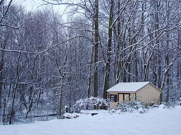 BkYrdSnow.  How Cool! Owner Taken