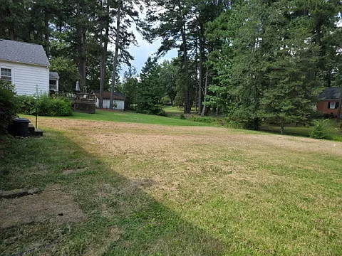 2 bed, 955 sqft, $1,100 — Photo 4