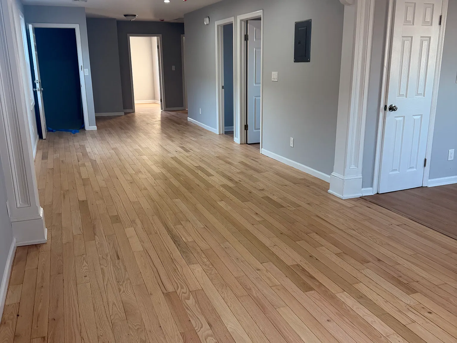 4 bed, 1500 sqft, $3,000 — Photo 4