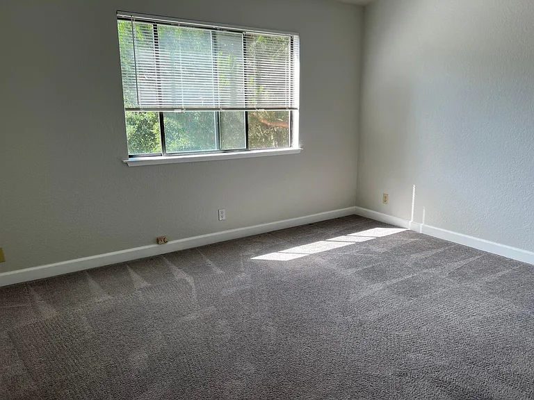 2524 Charlene Ln — Photo 36