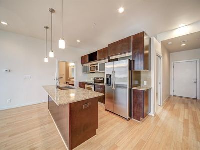 1406 Columbus St APT 203, Houston, TX, 77019