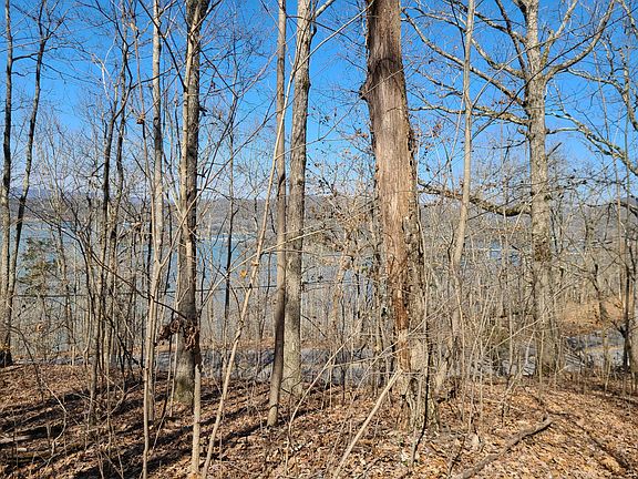 4th image of LOT 3 Highway 156