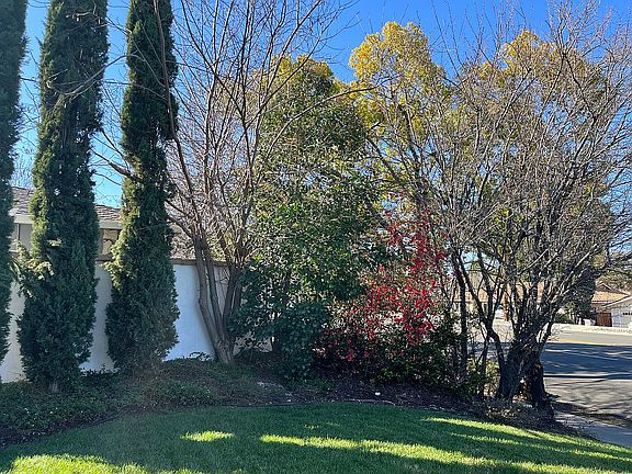 Front yard