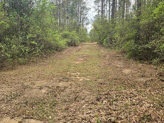 4th image of 0 Tom Shivers Rd