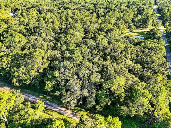 4700 Judy St, Hastings, FL 32145