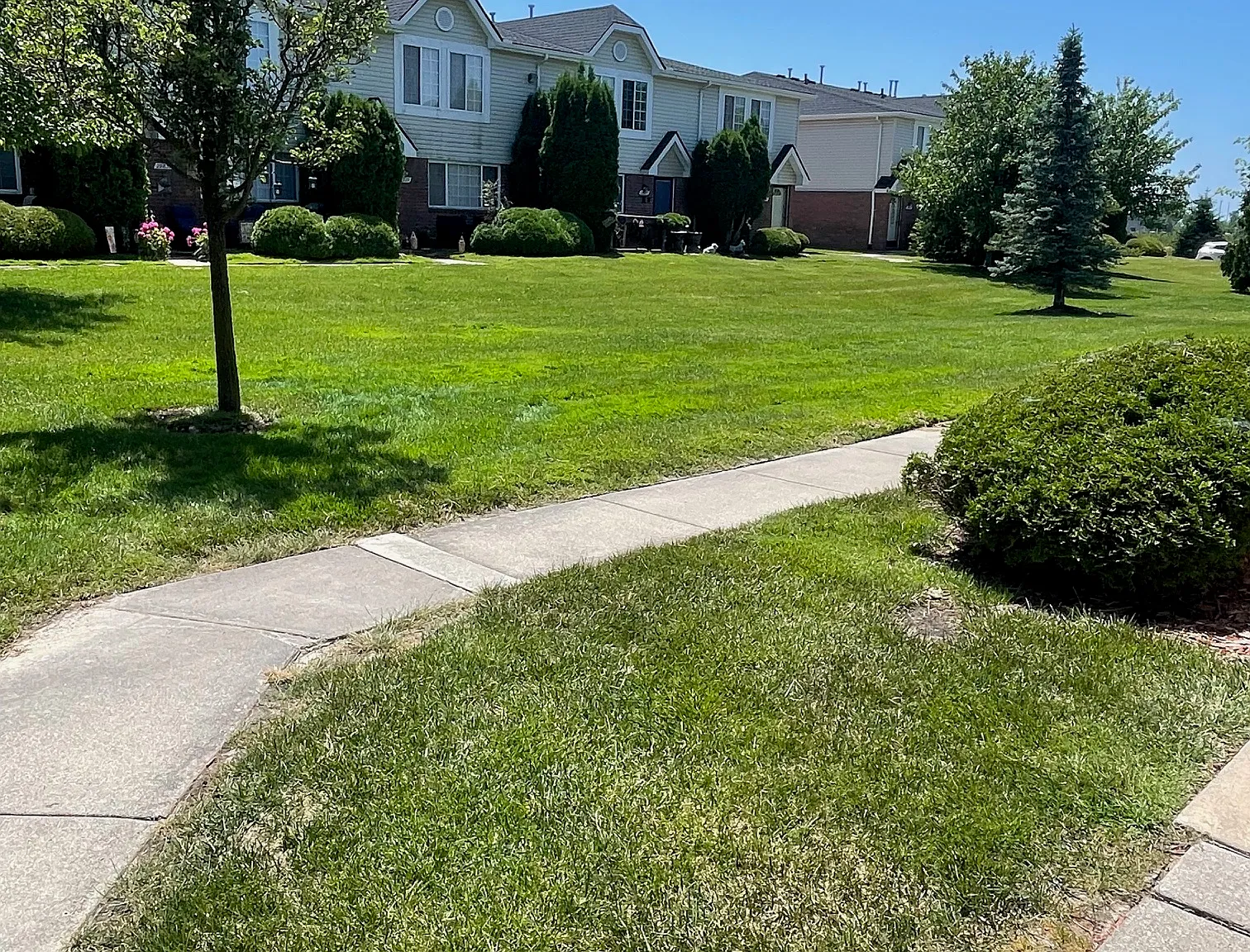 2 bed, 1.5 bath, 1120 sqft, $1,400 — Photo 3