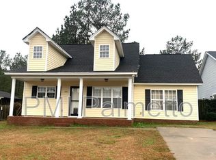 541 Old Bush River Rd, Chapin, SC 29036