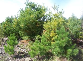 6 Ashtons Trl, Webster, WI 54893