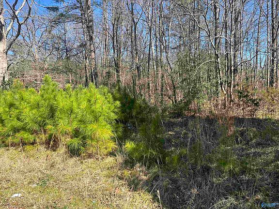 3rd image of TRACT Union Rd #C