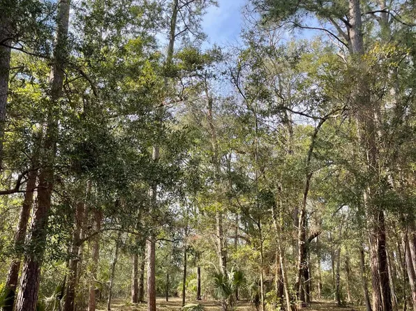 33 Palmetto Rd, Edisto Island, SC 29438