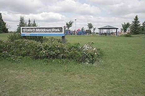 Park