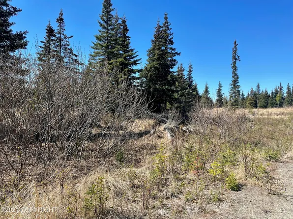 L55 Lowell St, Ninilchik, AK 99639