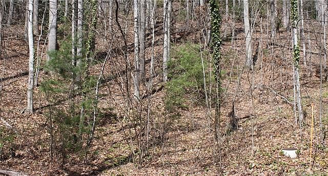 2nd image of 159 Mississippi Ext #1185