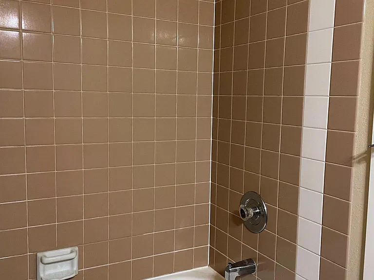 hall bath tub/shower