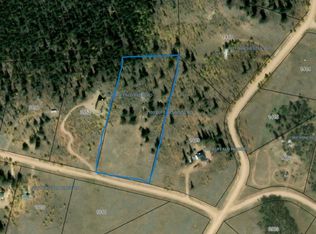 2189 Buffalo Ridge Rd, Como, CO 80456