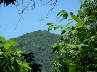 6 Chestnut Flats Rd #6, Waynesville, NC 28786