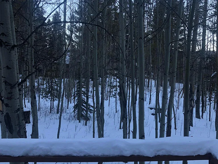 38 Skicrest Ln #CABIN — Photo 17