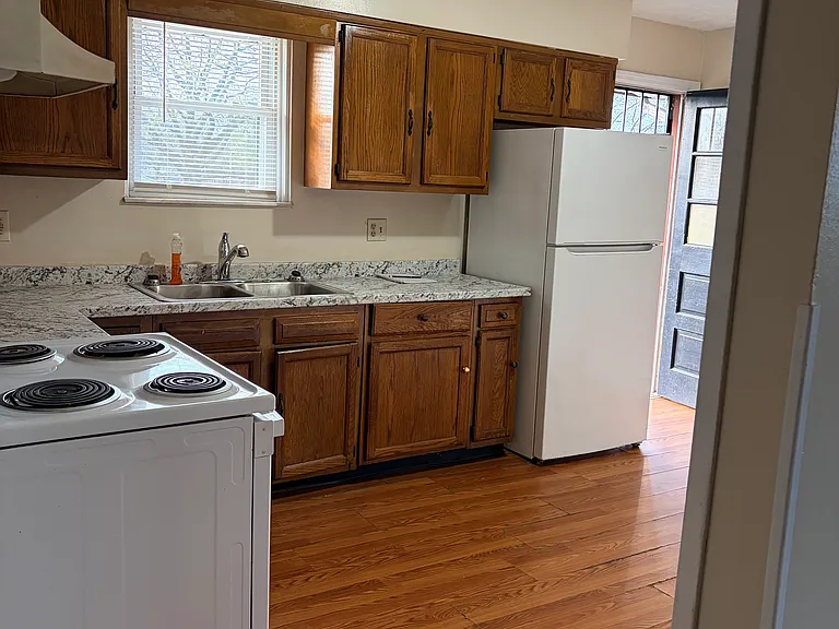 1586 Elston Dr — Photo 10