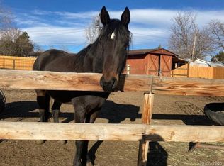 3875 Nelson St, Wheat Ridge, CO 80033