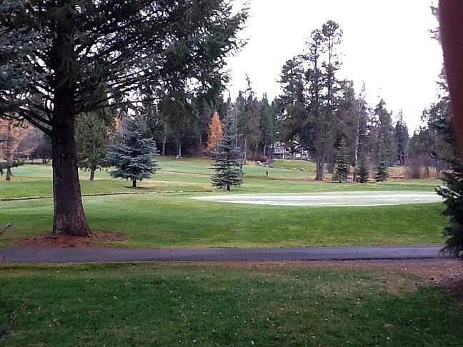 2nd image of 902 Evergreen Dr