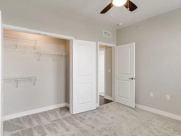 Bedroom Closet Space (Hickory)