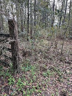 4th image of 50 E Pinhook Rd