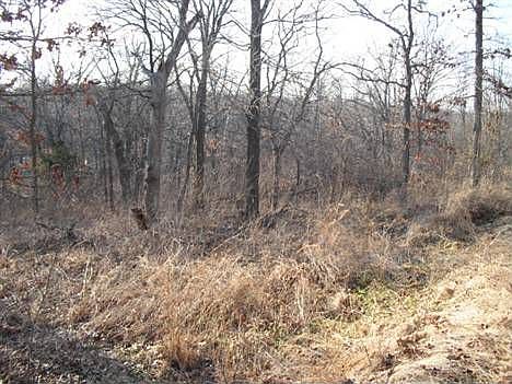 3rd image of 28530 E 13th St