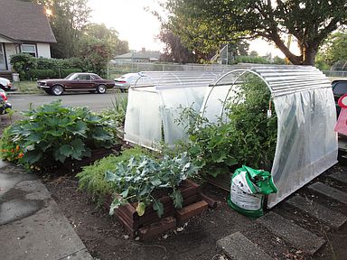 hoop houses