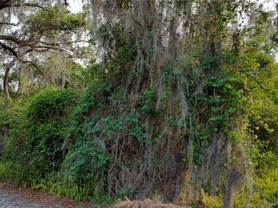 63 N Sheltering Oaks Dr, Inverness, FL, 34453