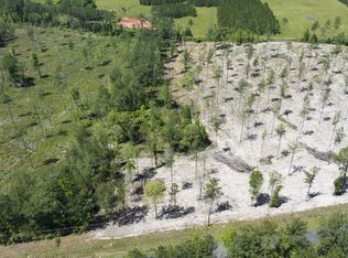 Paul McMillian Rd TRACT 8, Deridder, LA 70634