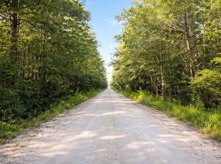 TBD Wolf Pit Bay Rd., Nichols, SC 29581