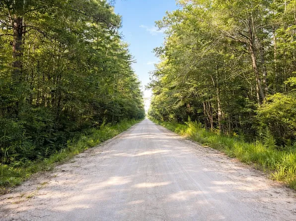 TBD Wolf Pit Bay Rd., Nichols, SC 29581