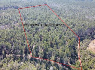 18 Rehoboth Rd, Cottageville, SC 29435