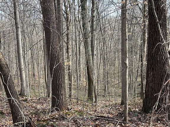 4th image of 24115 Sanes Creek Rd