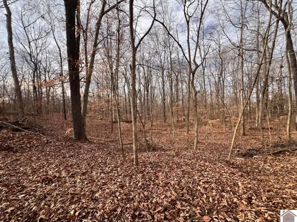 0 Musket Dr, Hardin, KY 42048
