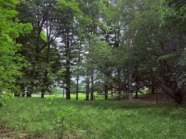 Kadi Ln Unit 11, Lake Ann, MI 49650