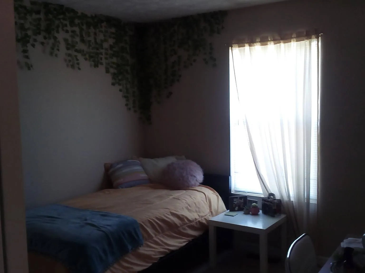 4 bed, 2.5 bath, 1500 sqft, $650 — Photo 3