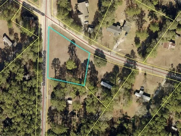 835 Black Creek Church Road, Ellabell, GA 31308