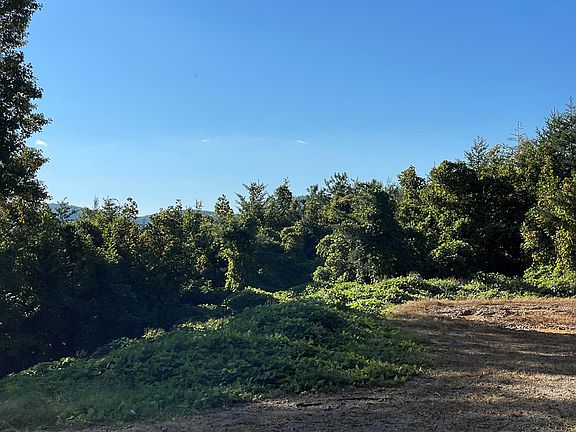 3rd image of TRACT 18 Faith Mountain Way