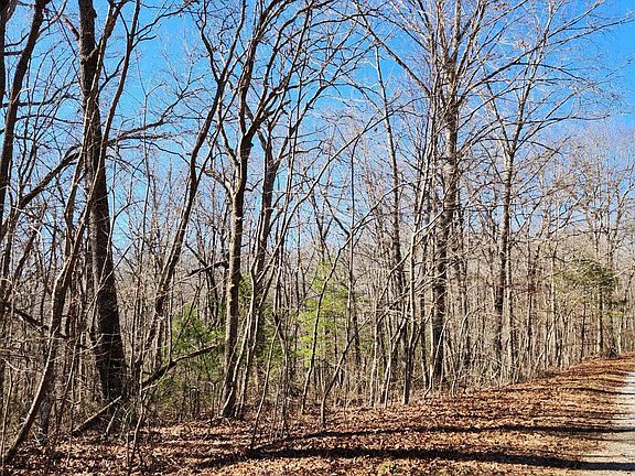 4th image of 22 Devon Loop #22