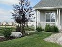 Front yard.