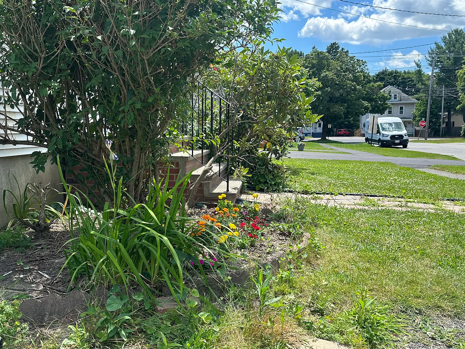 4 bed, 1500 sqft, $4,000 — Photo 3