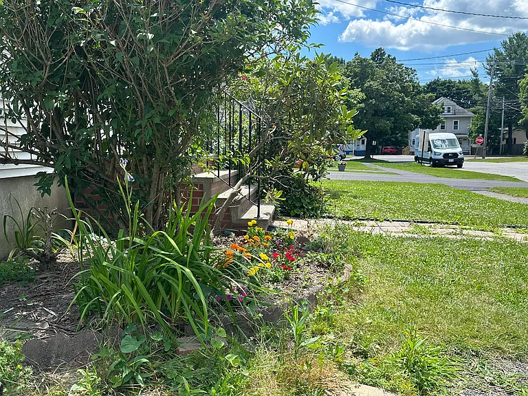 15 Craigie St — Photo 3