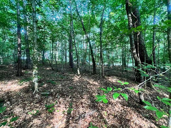 3rd image of 0 Andrew Jackson Rd #19