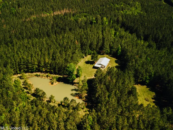 6098 Wroten Rd, Smithdale, MS 39664